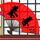 原版加州西敏寺神学学院毕业证【degxx.com】